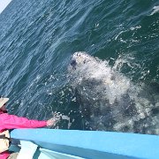 IMG 0001 2 (342)